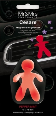 Osvěžovač vzduchu Mr&Mrs Fragrance CESARE Pepper Mint SHERON 4112205