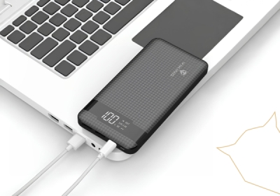 Viking PN-961PD 10000mAh