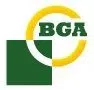 BGA
